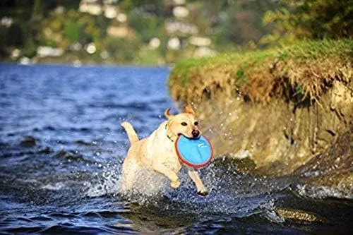 ChuckIt! Paraflight Flying Disc Dog Toy, Large (9.75"), Orange And Blue